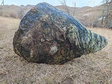 Щебень: Щебень, Ландшафтный, В тоннах, Камаз, Хово, Газ 53 — 19