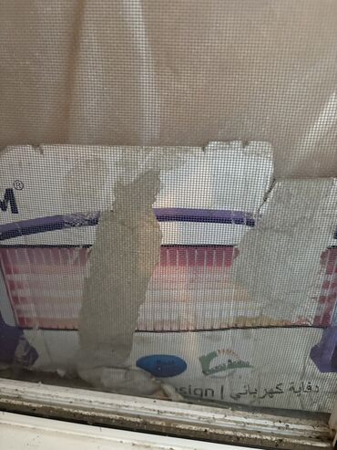 Elektrikli qızdırıcılar və radiatorlar: Spiral qızdırıcı, Kredit yoxdur, Ödənişli çatdırılma, Ünvandan götürmə, Rayonlara çatdırılma -da lalafo.az — 8 Elektrikli qızdırıcılar və radiatorlar: Spiral qızdırıcı, Kredit yoxdur, Ödənişli çatdırılma, Ünvandan götürmə, Rayonlara çatdırılma — 8