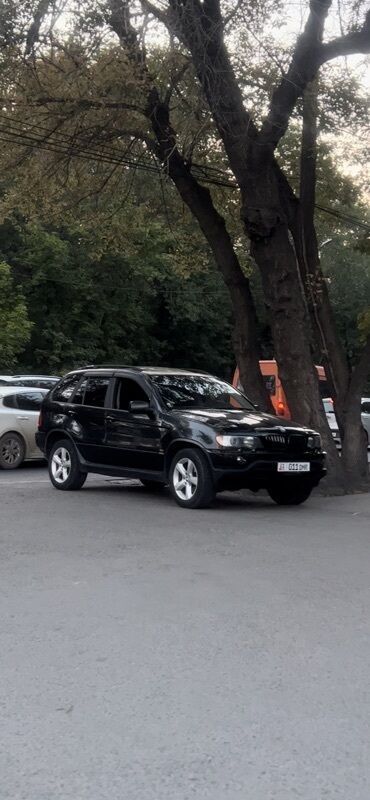 тайота приус v: BMW X5: 2003 г., 3 л, Типтроник, Газ, Внедорожник