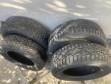 stud 100: Комплект зимних шин Nokian Nordman 5 SUV (шипованные), 4 шт. - — 2