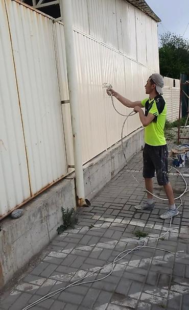 Покраска: Покраска стен, На водной основе, Больше 6 лет опыта — 8