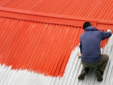 Покраска: Покраска ворот, Покраска наружных стен, Покраска потолков, На водной основе, На масляной основе, Больше 6 лет опыта — 4