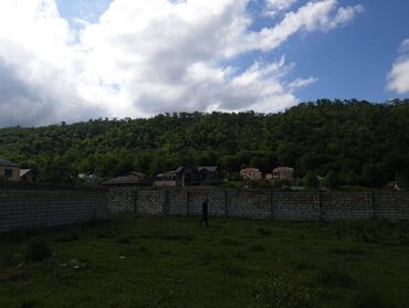 xətai rayonunda torpaq satışı: 15 sot, Mülkiyyətçi, Kupça (Çıxarış)