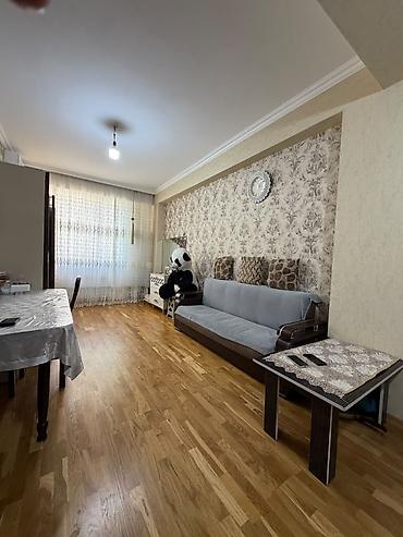bileceri ucuz kiraye evler: 2 otaqlı, Yeni tikili, 43 kv. m — 3
