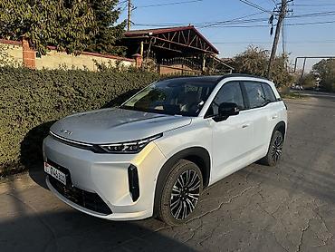 GAC: Самая максимальная комплектация на 650 км растаможена по ТПО — 1