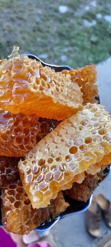 Bal: Qax Dağ Sarıbaş balı Qax Dağ Sarıbaş balı! Təbii, qatqısız, ekoloji -da lalafo.az — 9 Bal: Qax Dağ Sarıbaş balı Qax Dağ Sarıbaş balı! Təbii, qatqısız, ekoloji — 9