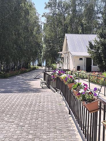 Ландшафтный дизайн и озеленение: Благоустроенная зеленая территория для отдыха и прогулок - Просторные — 10