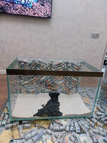 Akvariumlar: Çatdırılma tam pulsuzdu ölçü və dizaynında dəyişiklik etməy olar arxa — 34