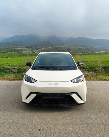 машина электирик: BYD Seagull: 2024 г., Электромобиль, Хэтчбэк