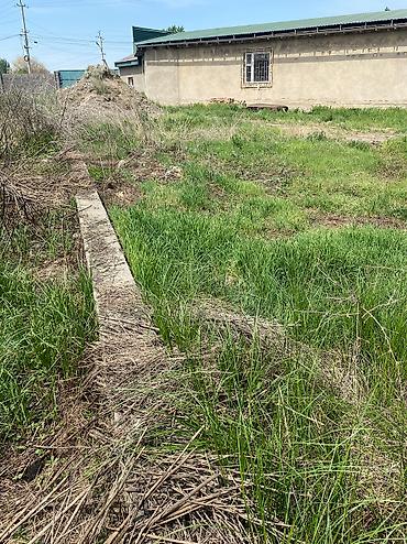 Продажа коттеджей и домов: 7 комнат, 277 м², 9 соток, Беловодское, Собственник — 24