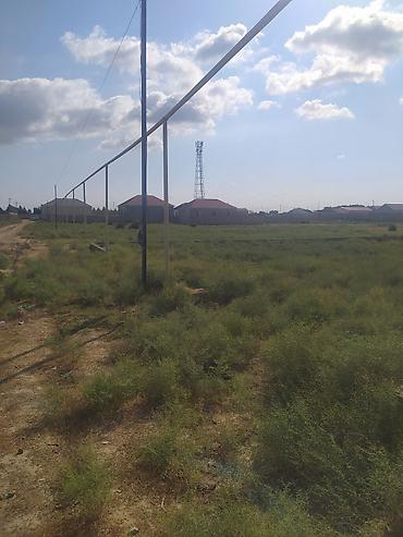 goradil torpaq satisi: 50 sot, Tikinti, Mülkiyyətçi, Kupça (Çıxarış) — 8