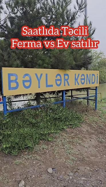1 otaqli heyet evleri: Satılır: Saatlı rayonu, Bəylər kəndində ferma və yaşayış evi kompleksi — 4