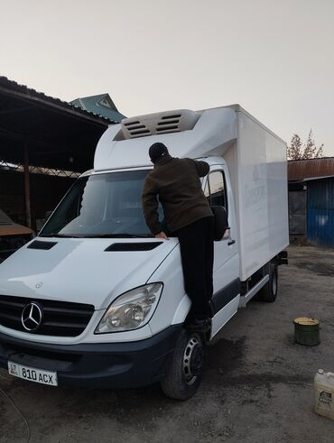 белая швейцарская овчарка купить: Mercedes-Benz Sprinter: 2010 г., 2.7 л, Механика, Дизель, Бус