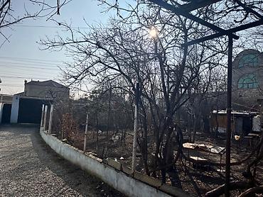 gence gulustan: 4 sot, Tikinti, Mülkiyyətçi, Müqavilə — 3