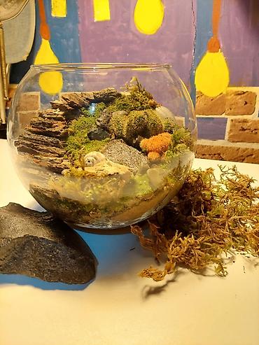 ev guleri: Şüşə qabda mini landşaft – yosun və kaktuslu terrarium — 3