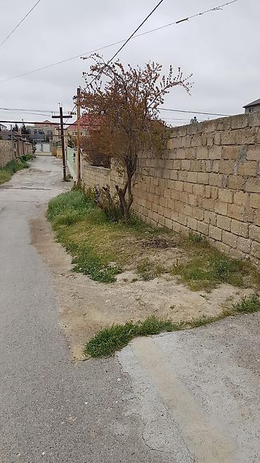 samaxida torpaq sahesi satilir: 6 sot, Tikinti, Kupça (Çıxarış) — 7