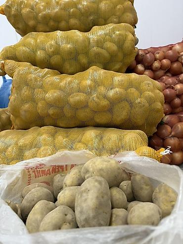 персик оптом: Картошка Джелли, Оптом — 1