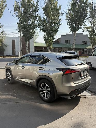 lexus nx: Lexus NX: 2019 г., 0.2 л, Автомат, Бензин, Кроссовер — 3