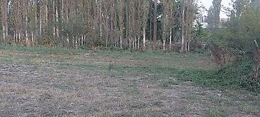 Продажа участков: 30 соток at lalafo.kg — 2 Продажа участков: 30 соток — 2