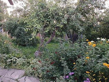 Продажа коттеджей и домов: Дом с участком в престижном районе село Байтик 8 соток Красная — 26