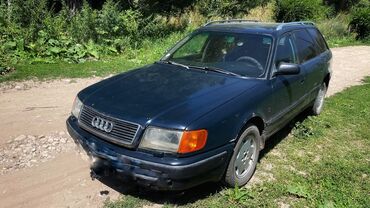 шины на 14: Audi 100: 1994 г., 2 л, Механика, Бензин, Универсал