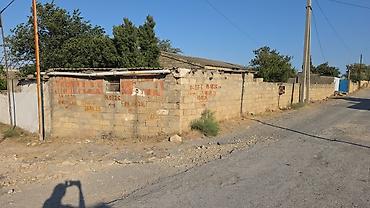 şəki ev: 1 sot, Tikinti, Mülkiyyətçi, Kupça (Çıxarış) — 2