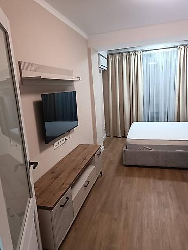 one room apartment: 1 комната, Собственник, Парам без детей, С мебелью полностью — 4