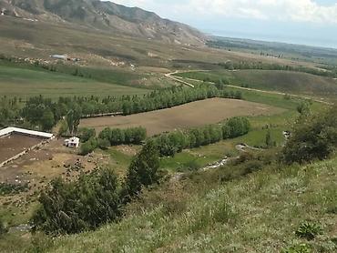 под кашара: Продаётся Кошара в Иссык-кульской области, село Ананьево. Имеется — 2