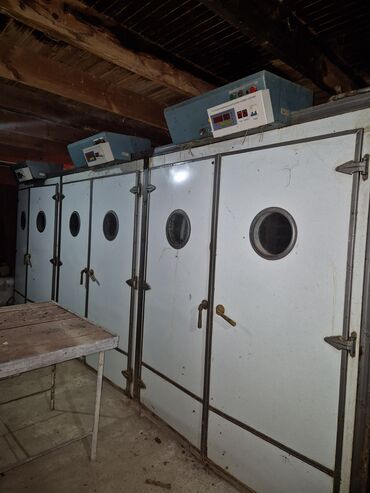 İnkubatorlar: 5000 yumurta, Bütün növ quşlaq üçün — 2