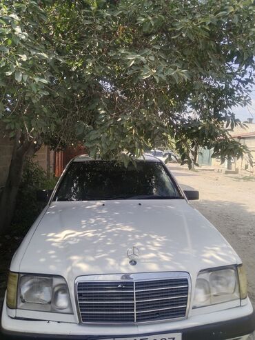 мерседес спринтер цена бишкек: Mercedes-Benz W124: 1991 г., 2.3 л, Механика, Бензин, Седан