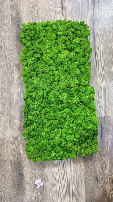 Bağ və bostan üçün digər məhsullar: Kv 10 man baslayr Depodan bir basa satis Hem ucuz hem keyfiyyetli — 18