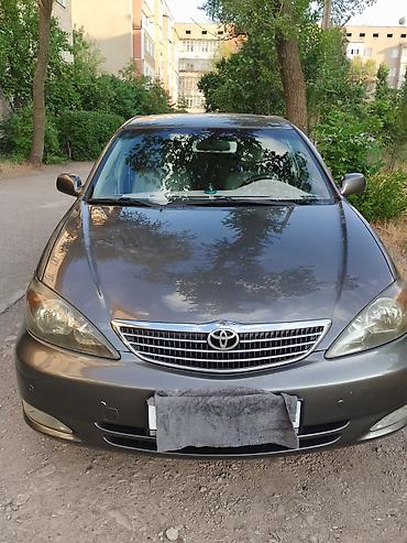 Toyota: Toyota Camry: 2004 г., 2.4 л, Автомат, Бензин, Седан — 6