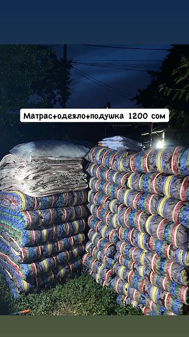 тошое: Тошок Новый, Ватный матрас, Платная доставка, Самовывоз — 1