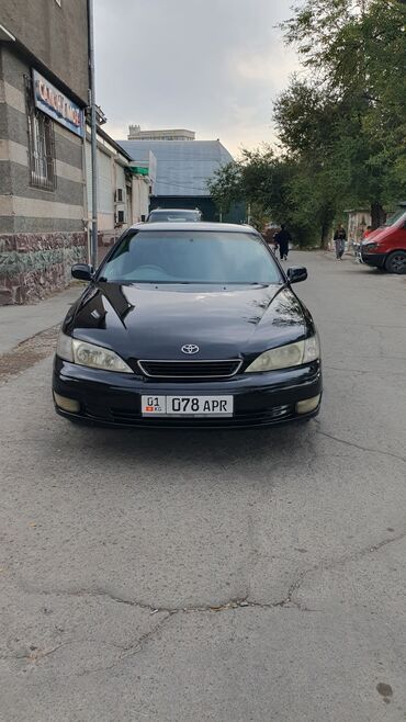 спойлер на виндом: Toyota Windom: 2001 г., 2.5 л, Автомат, Бензин, Седан