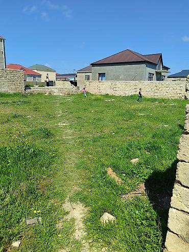 pulsuz elan yerləşdir: 5 sot, Kənd təsərrüfatı, Mülkiyyətçi, Kupça (Çıxarış) — 1