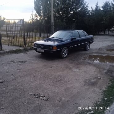 h 100: Audi 100: 1989 г., 1 л, Механика, Бензин, Седан