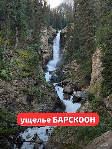 арча бешик 1: Продаётся дом с земельным участком 25 соток. Адрес: с. Барскоон, ул — 5