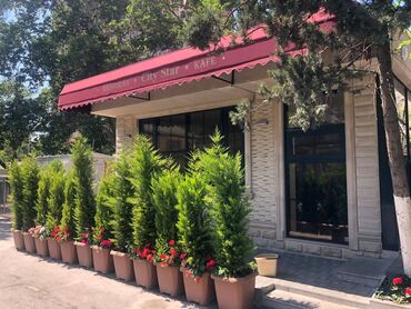 Restoran, kafelər: 28 may metrosuna yaxin 80 kv sahəsi olan kafe 3500azn icarəyə — 4