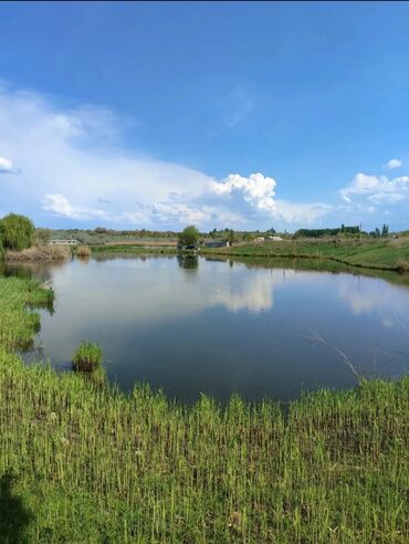 Продажа участков: 600 соток, Для бизнеса, Красная книга — 32