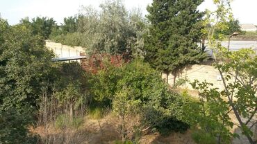 Həyət evləri və villaların satışı: 5 otaqlı, 255 kv. m, Yeni təmirli — 5