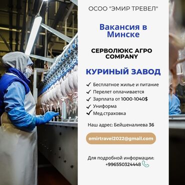 работа на заводе в бишкеке: Вакансия в Минске 🔥🔥🔥🔥🔥 Куриный завод 🐔🐔🐔 Бесплатное жилье и питание ✅