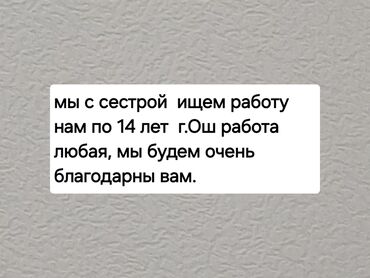 высокооплачиваемые работы в бишкеке: Другие специальности