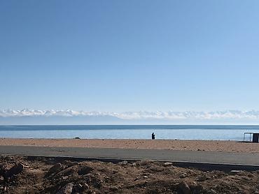 Продажа участков: 4 соток, Для строительства, Красная книга — 1