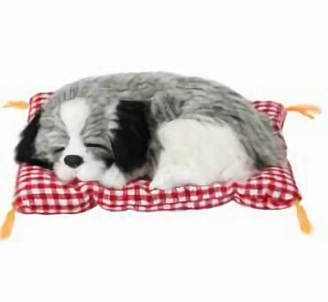 Oyuncaqlar: Shekilleri cevirin Oyuncaq coxdu Dovshan kuklası satilir tezedi 43 sm -da lalafo.az — 2 Oyuncaqlar: Shekilleri cevirin Oyuncaq coxdu Dovshan kuklası satilir tezedi 43 sm — 2