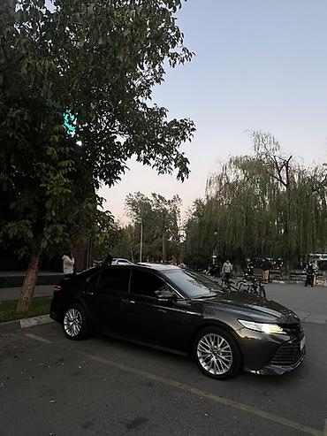 солид: Toyota Camry: 2018 г., 2.5 л, Автомат, Бензин, Седан — 1