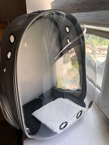 Зоотовары: Прозрачный рюкзак-переноска для питомцев - Форм-фактор: рюкзак с — 9