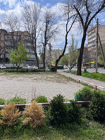 Коммерческая недвижимость: Срочно кабинет берилет Калык Акиева Московская кочосунун кесилишинен — 2