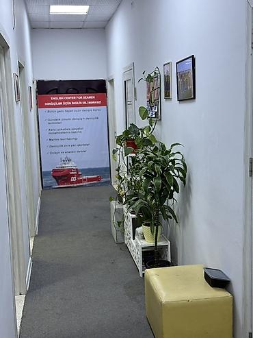 office: Ofis və ya Repetitor Müəllimlər üçün Mərkəz daxilində otaqlar icarəyə — 4