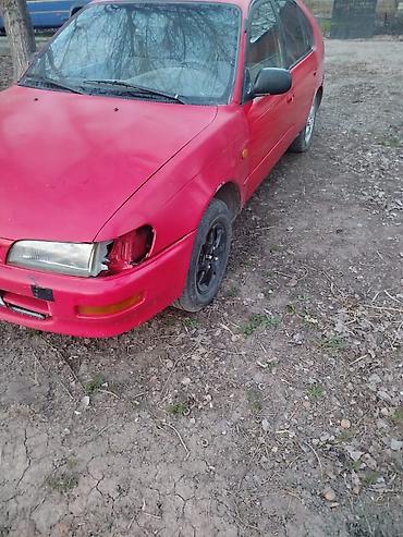 машина электронной: Toyota Corolla: 1996 г., 1.3 л, Автомат, Бензин, Хэтчбэк — 1