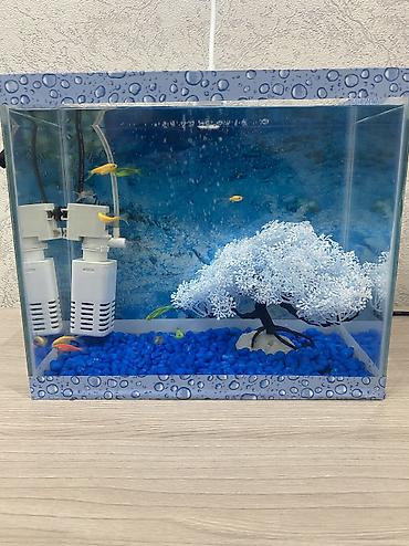 akvarium qizdirici: Dördbucaq akvarium, Boş, 10 l, Ünvandan götürmə, Pulsuz çatdırılma, Ödənişli çatdırılma — 3